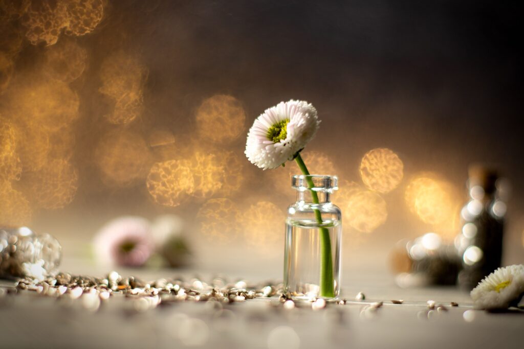 A single daisy in a glass bottle surrounded by soft bokeh lights, creating a serene atmosphere.